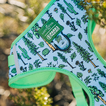 Feel the Earth Breathe No-Pull Harness