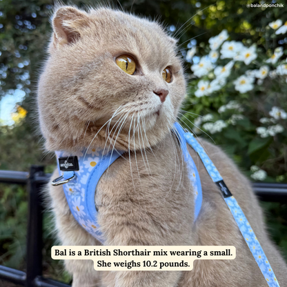 Simply Splendid Cat Leash