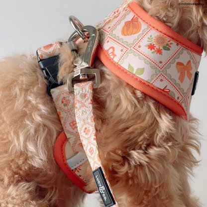 Cozy Cottage Reversible Harness
