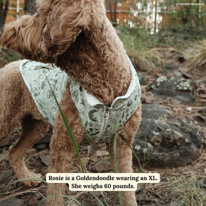 Camp Out Reversible Teddy Vest