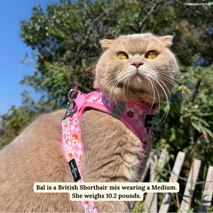 Cutie Patootie Step-in Cat Harness