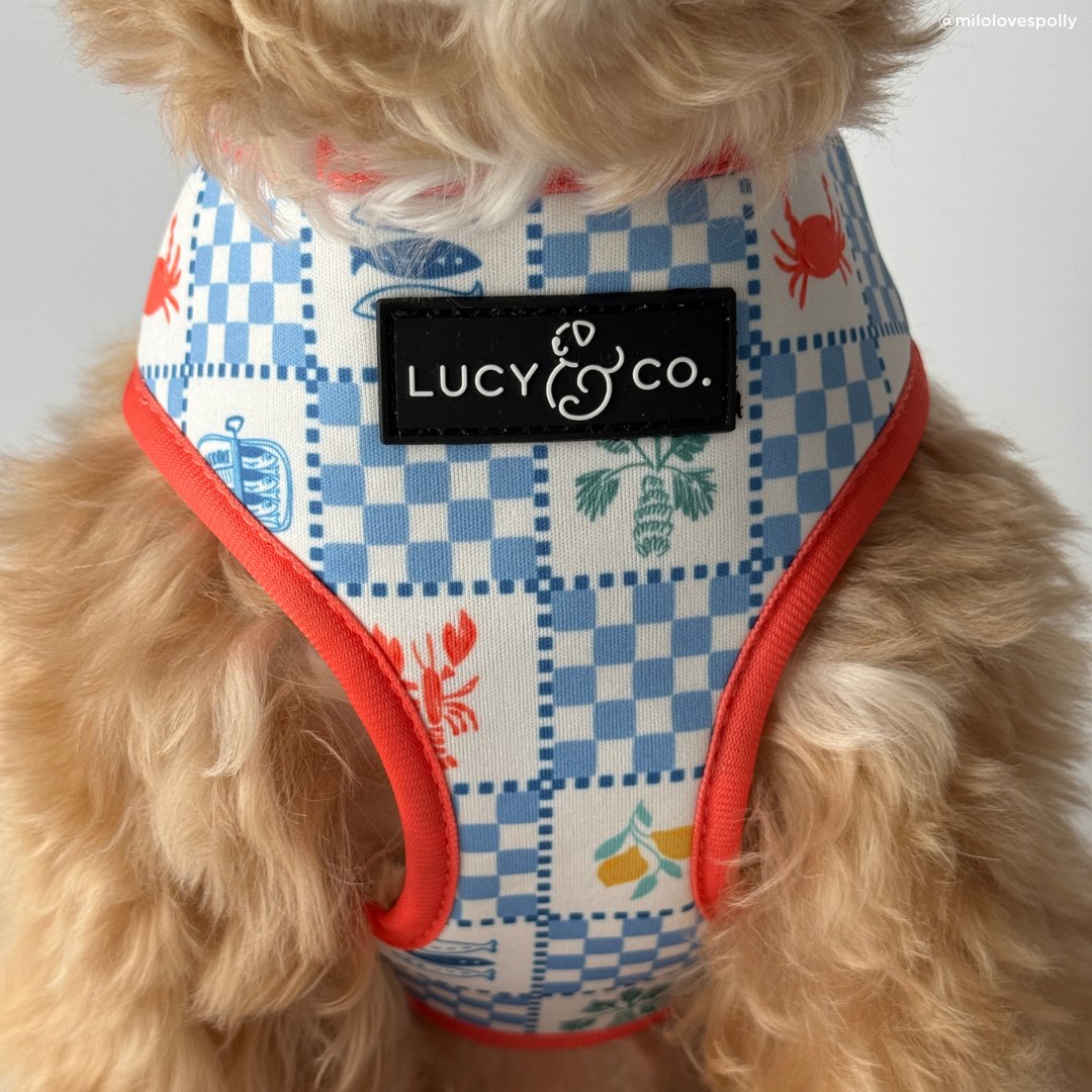 Sunny in Sicily Reversible Harness
