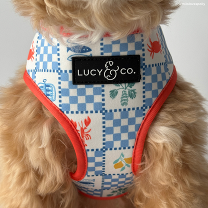 Sunny in Sicily Reversible Harness