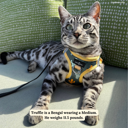 Looking Sharp Step-in Cat Harness