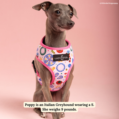 Dolce Vita Reversible Harness