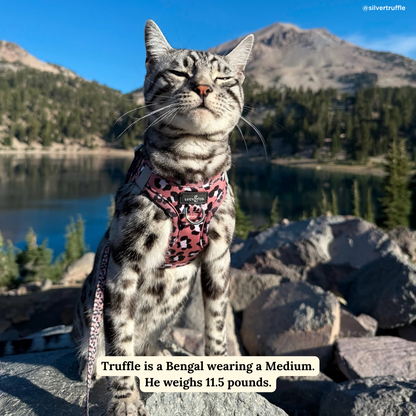 Wild Side Step-in Cat Harness