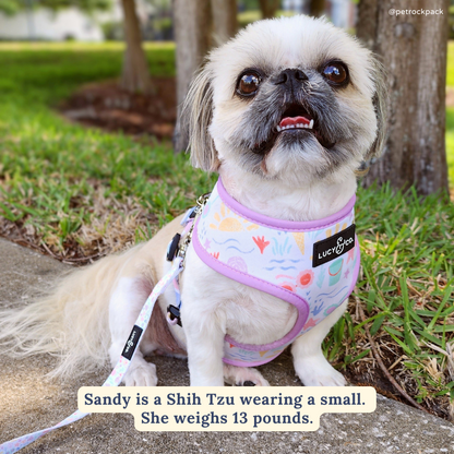 Life's a Beach Reversible Harness