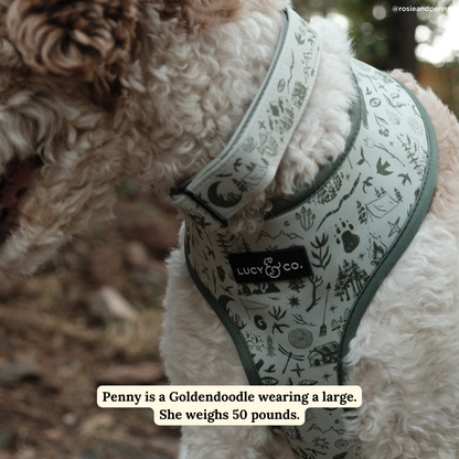 Camp Out Collar