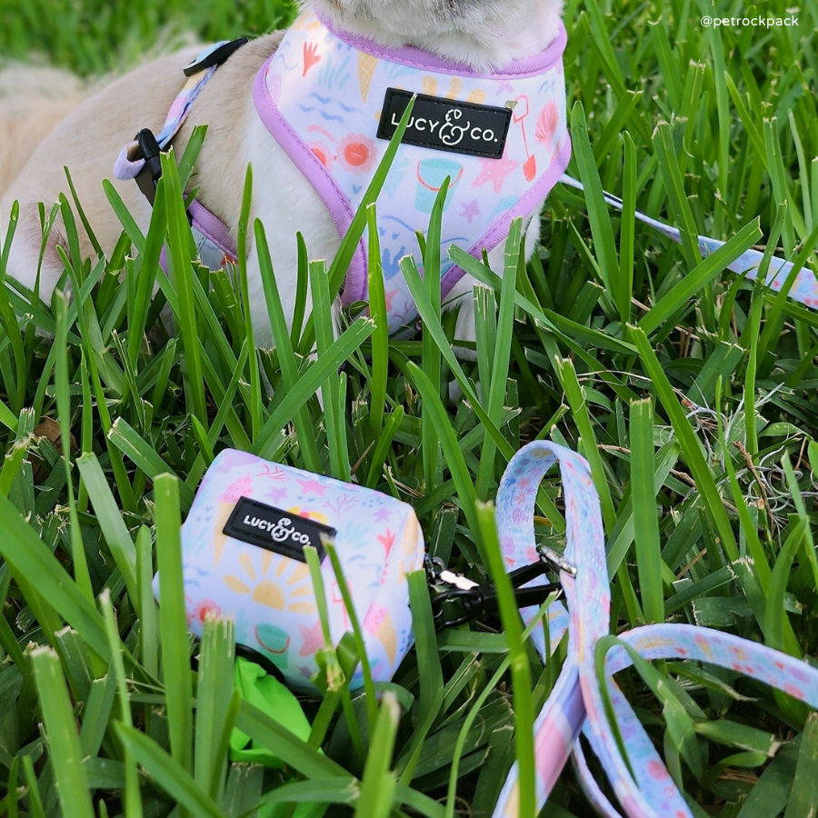 Life's a Beach Poop Bag Holder