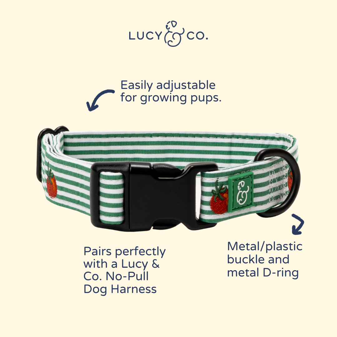 Tomato, Tomahto Embroidered Collar