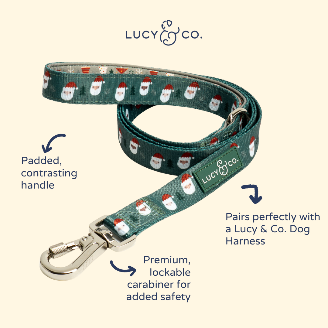 Santa Land Leash