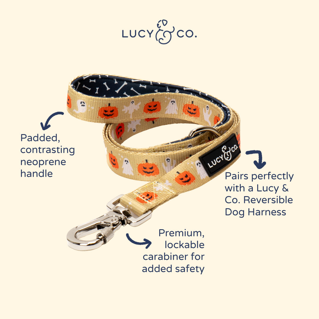 Trick or Treat Leash