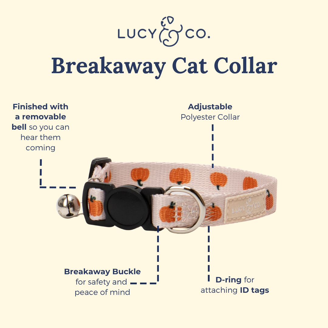 Oh My Gourd Breakaway Cat Collar