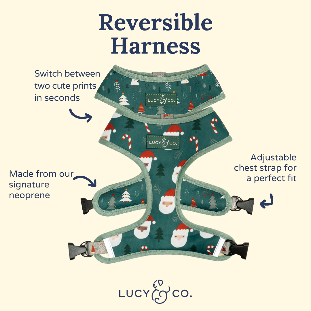 Santa Land Reversible Harness
