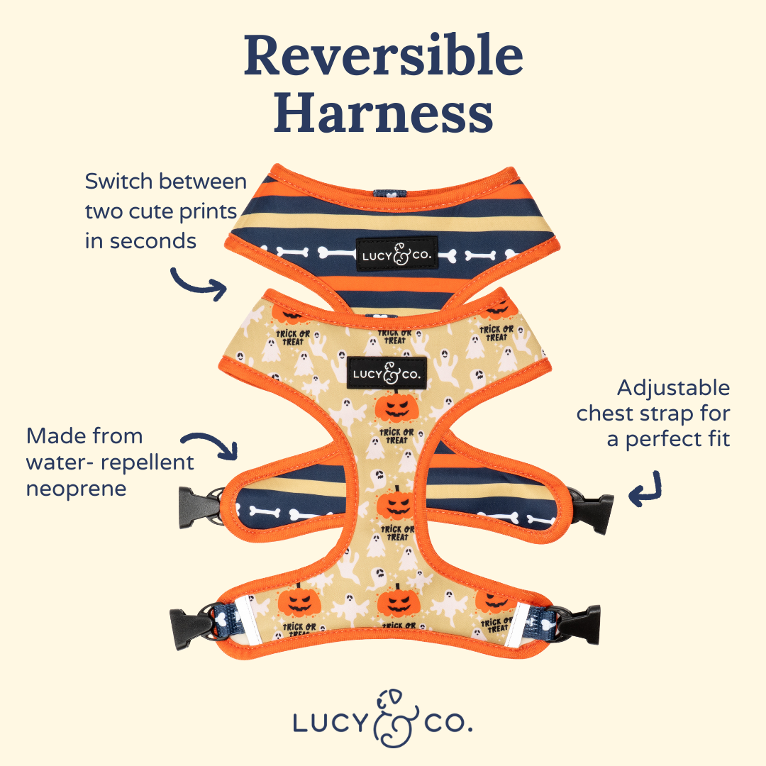 Trick or Treat Reversible Harness
