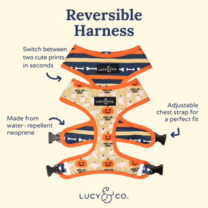 Trick or Treat Reversible Harness