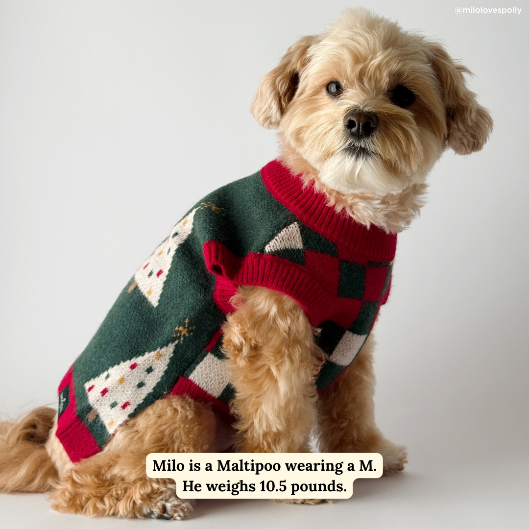 Oh, Christmas Tree Sweater