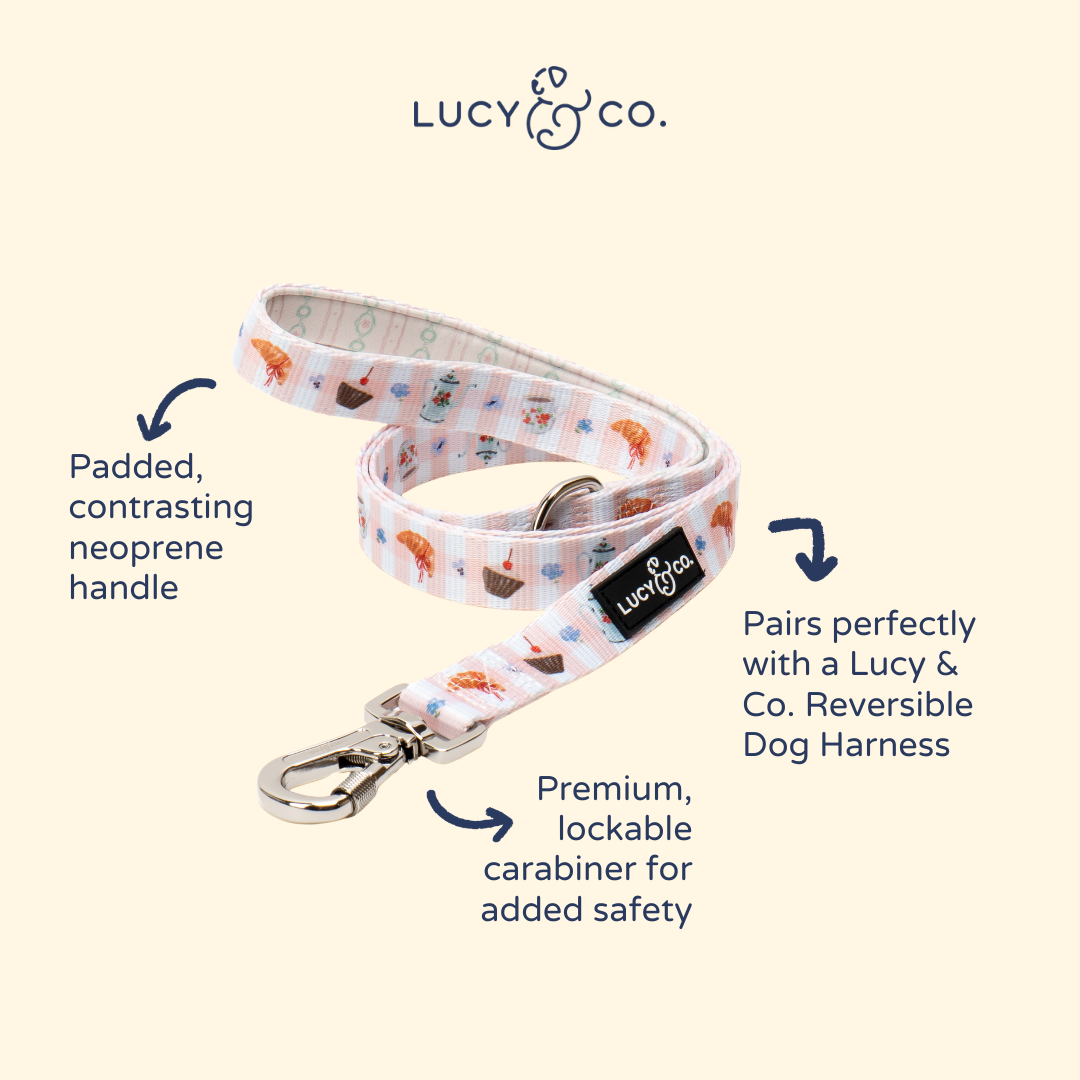 Sipping Slowly Leash