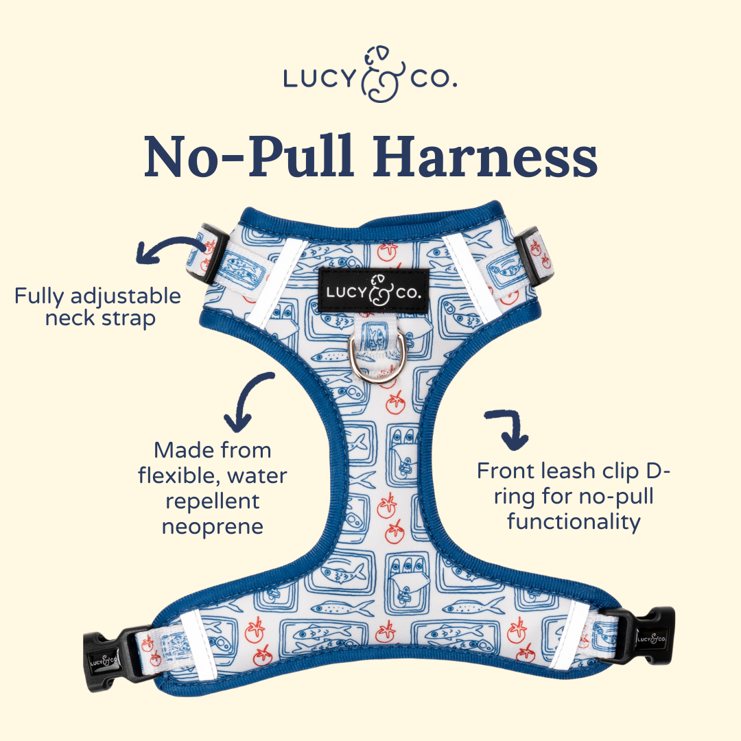 Tinned Fish No-Pull Harness