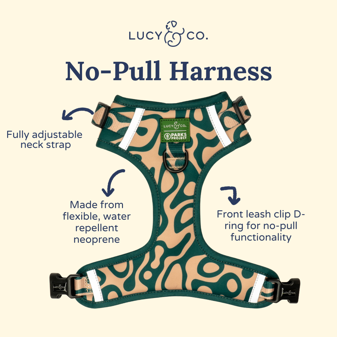 Geyser No-Pull Harness