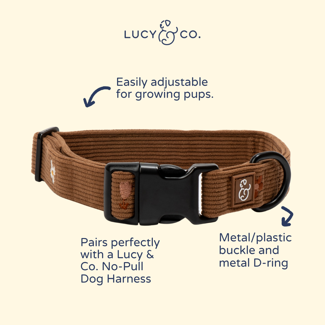 Chocolate Meadows Corduroy Collar
