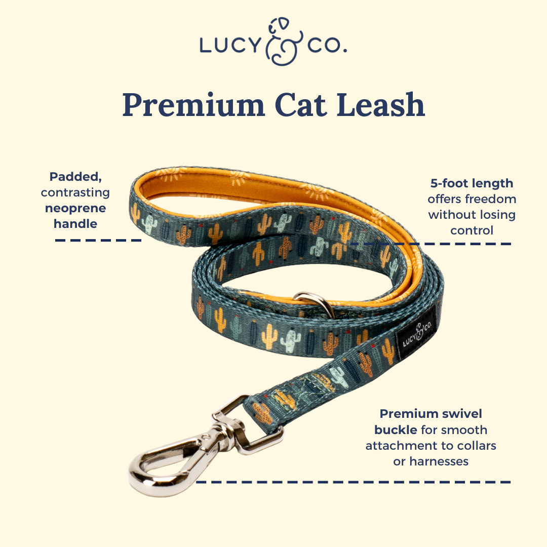 Looking Sharp Cat Leash