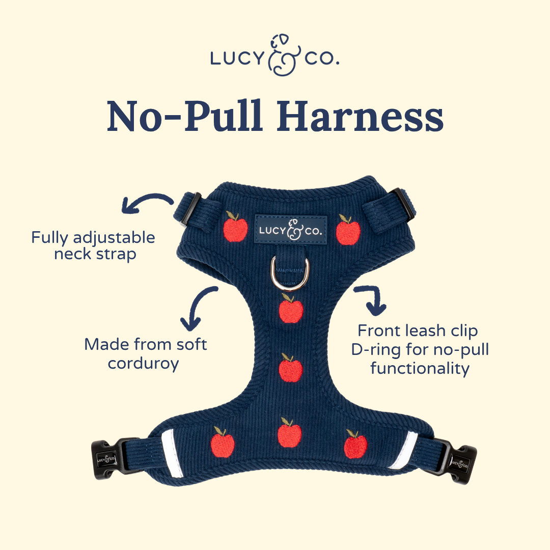 Appley Ever After Corduroy No-Pull Harness