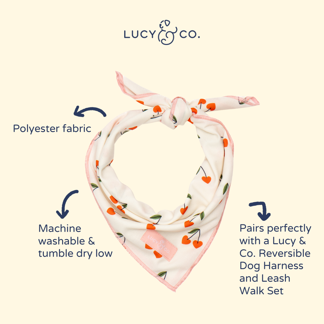Cherry Cute Bandana