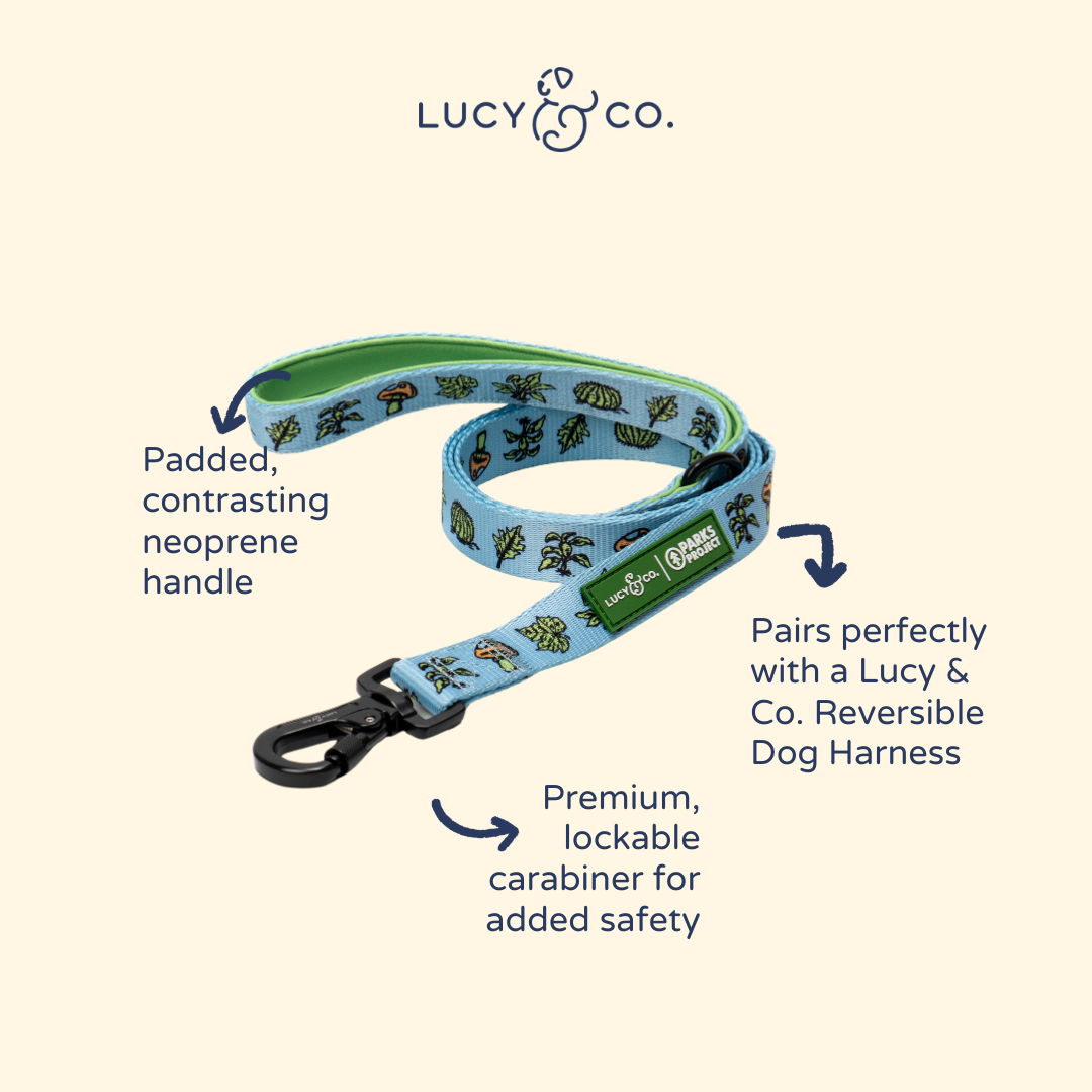 Feel the Earth Breathe Leash