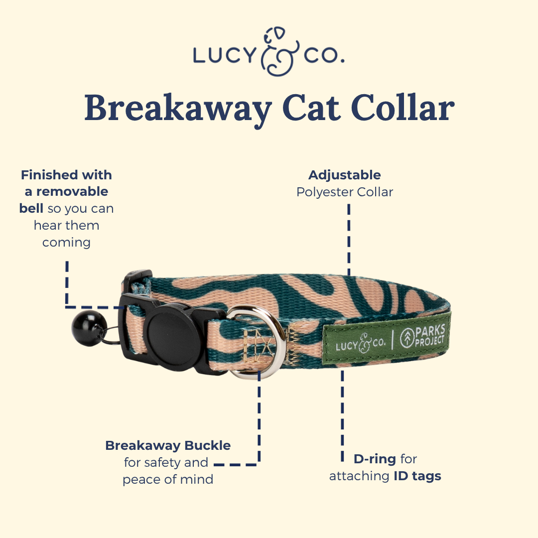 Lucy & Co. x Parks Project Geyser Breakaway Cat Collar