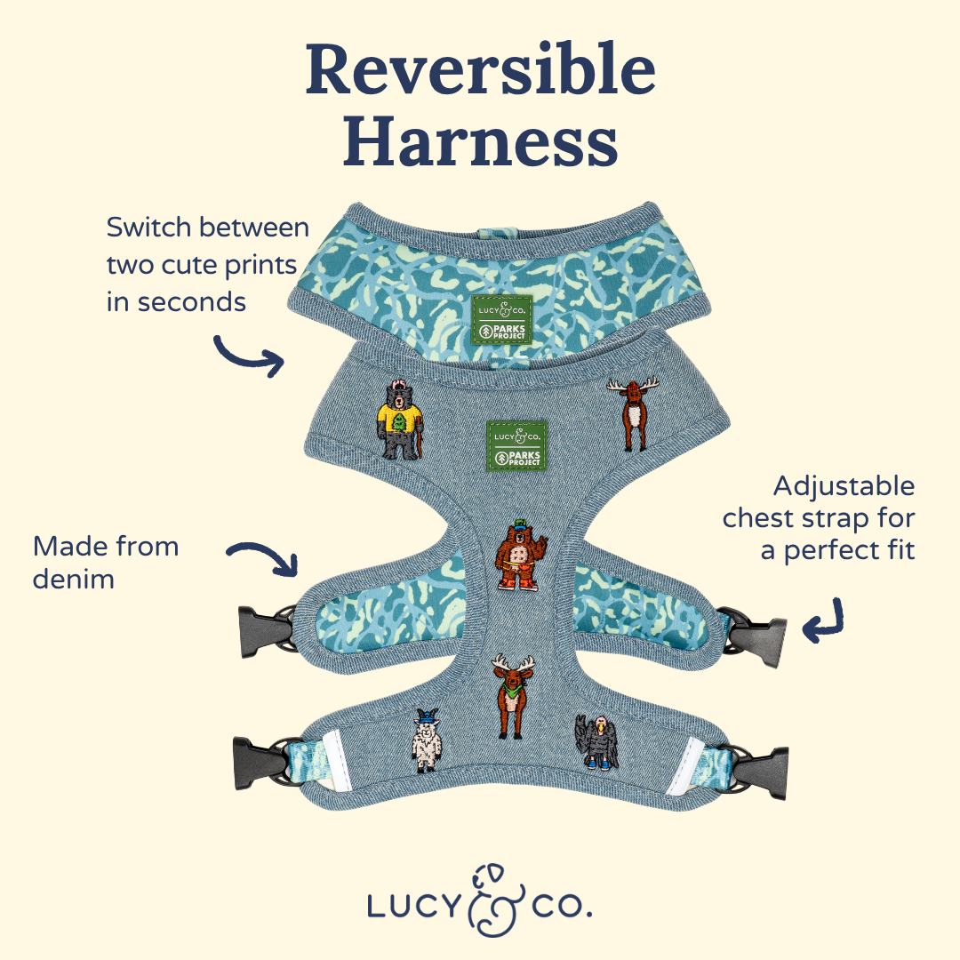 Lucy & Co. x Parks Project Adventures with Friends Reversible Harness