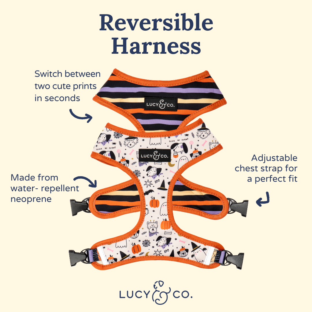 Howloween Reversible Harness
