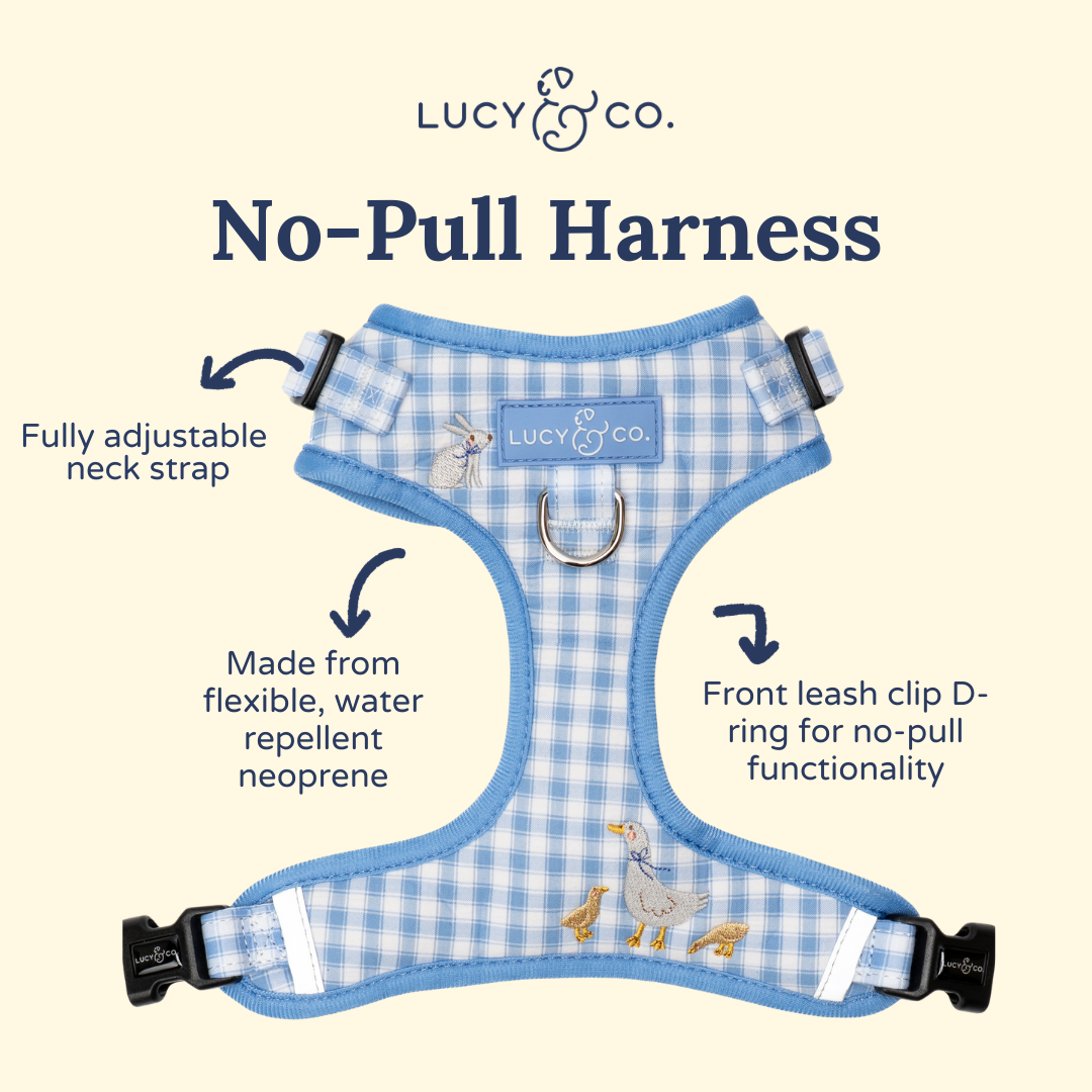 Silly Goose No-Pull Harness