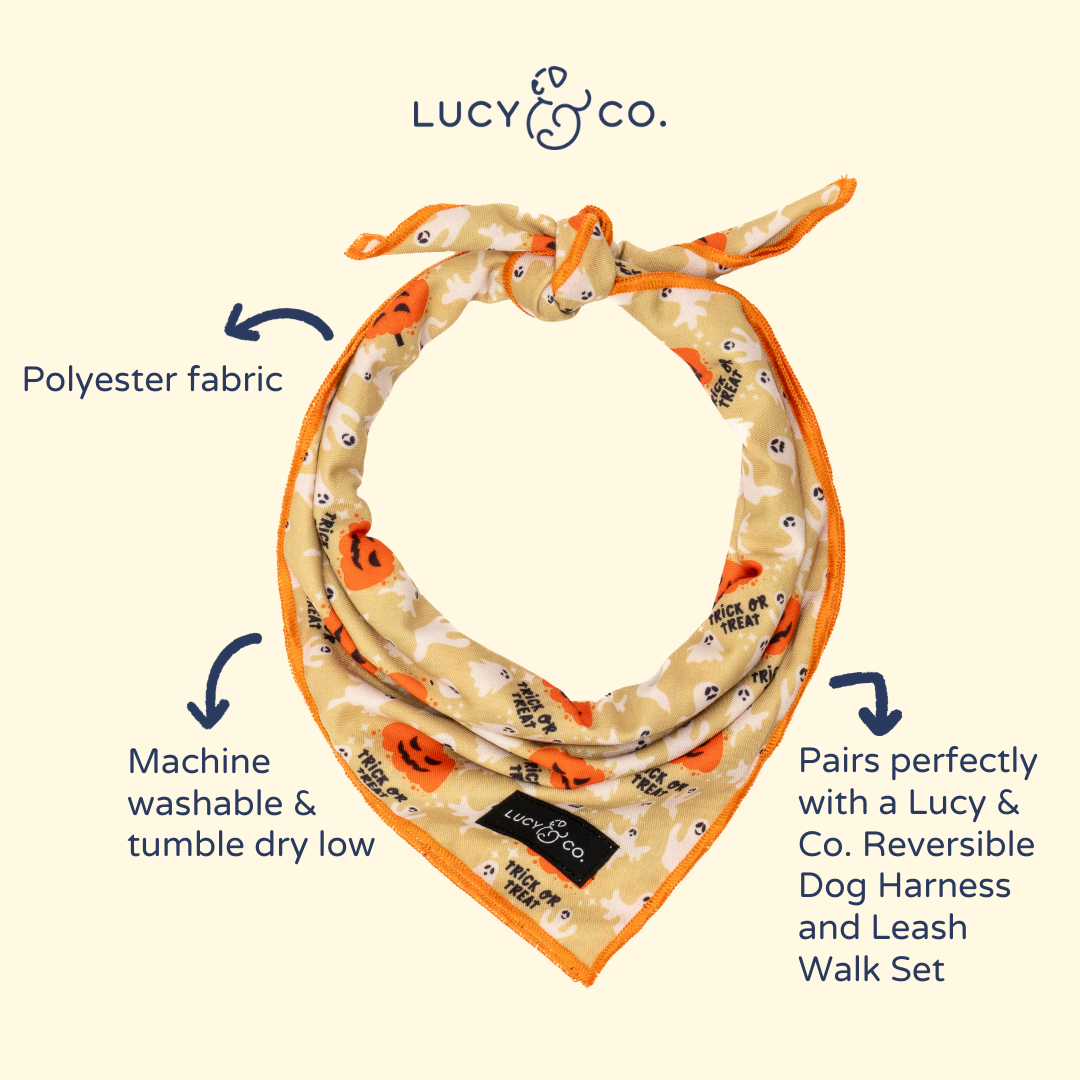 Trick or Treat Bandana