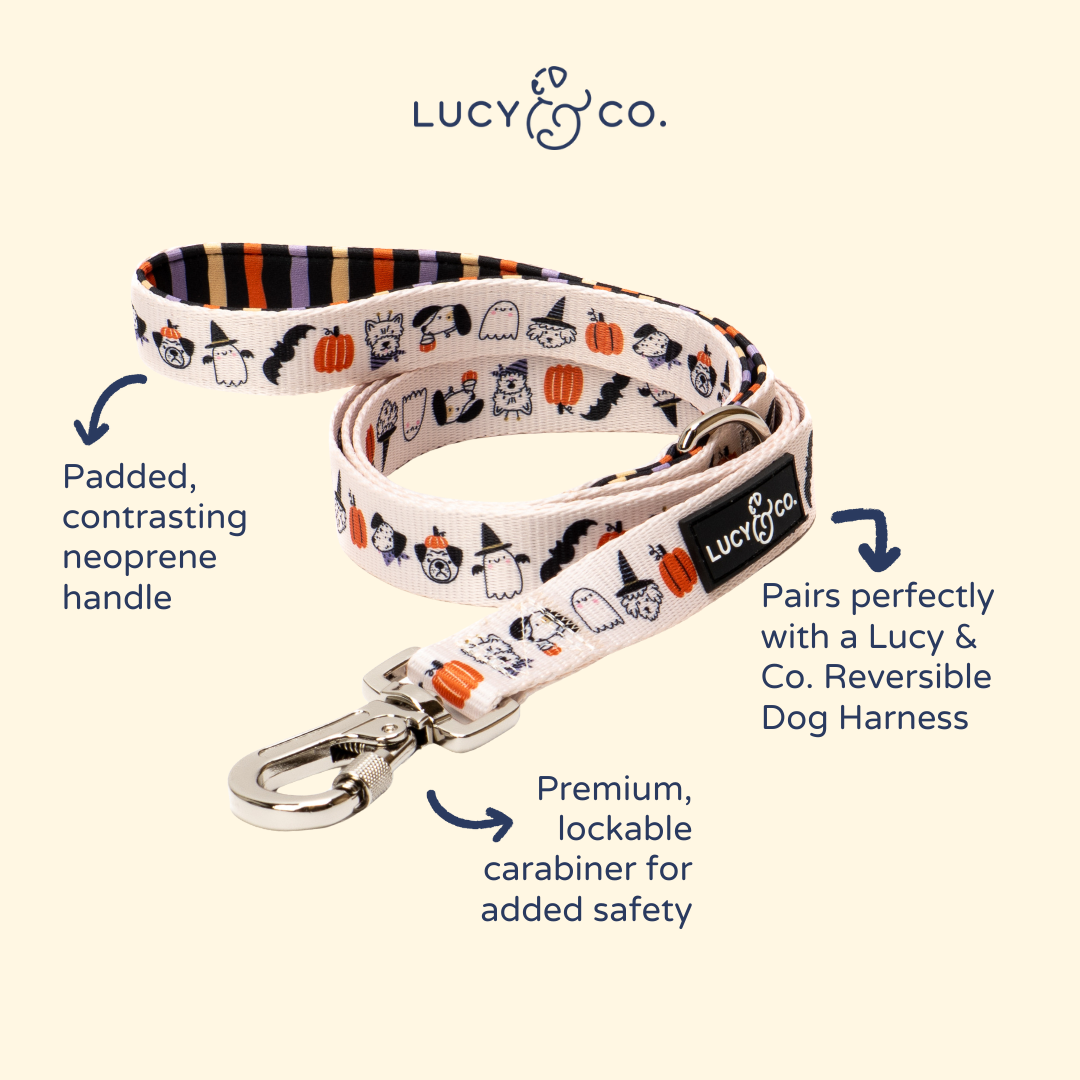 Howloween Leash