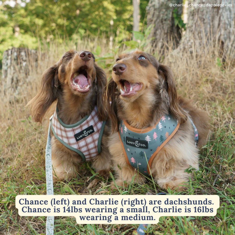 Take a Hike Reversible Harness