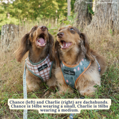 Take a Hike Reversible Harness