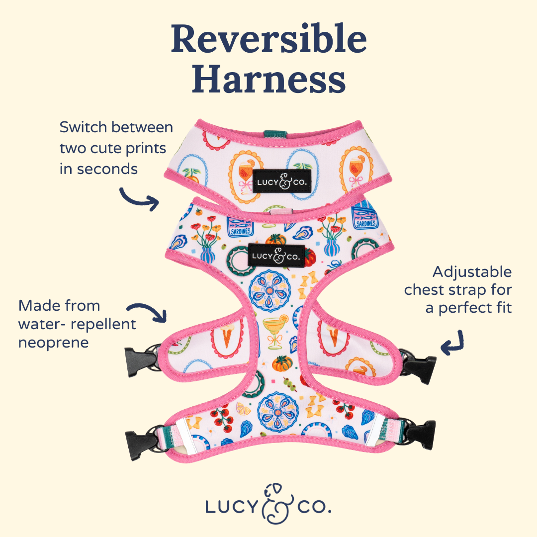 Dolce Vita Reversible Harness