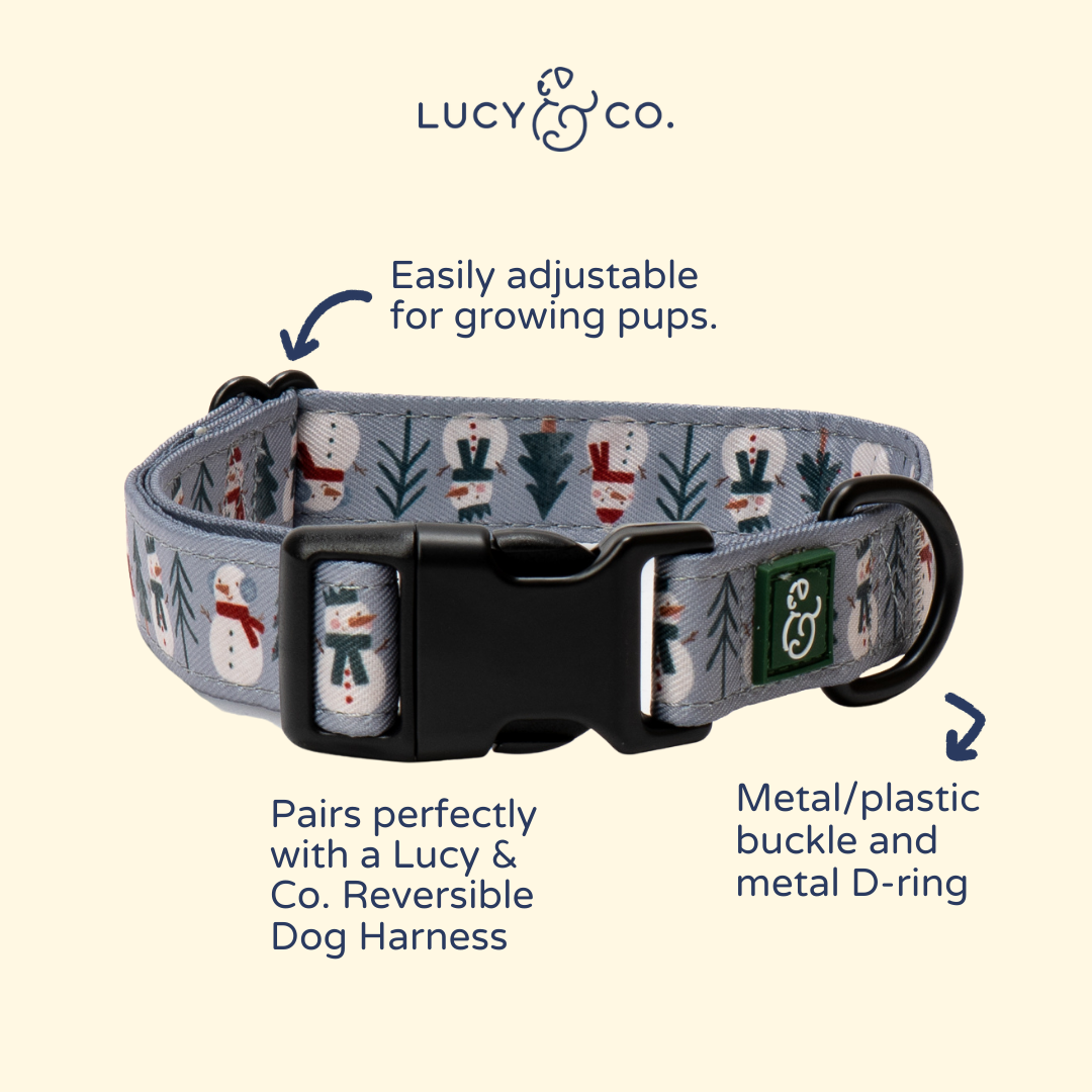 Snow Much Fun Collar