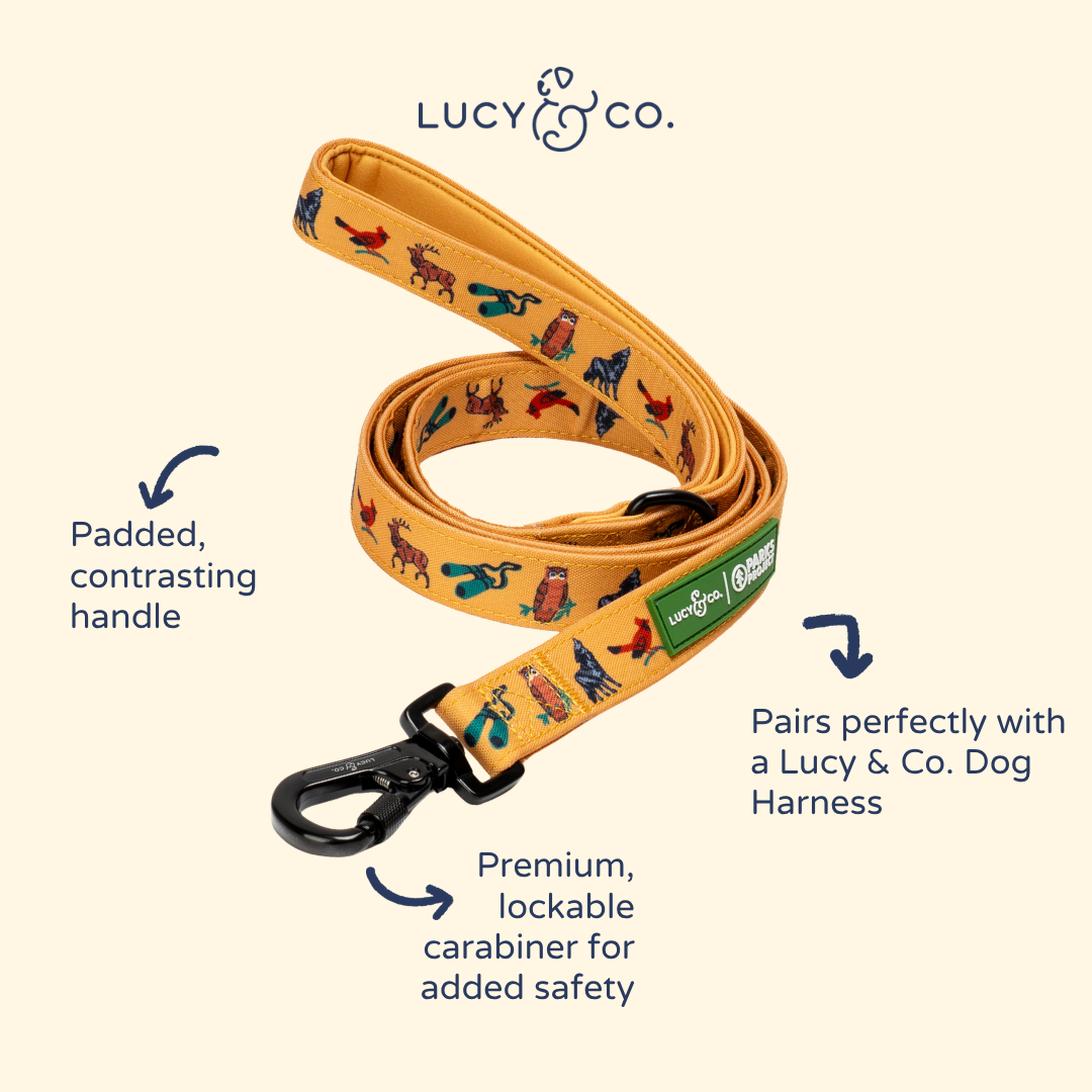 Lucy & Co. x Parks Project Naturalist Club Leash