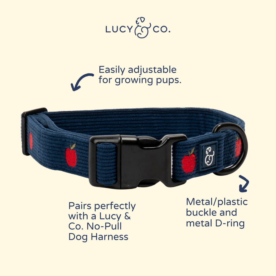 Appley Ever After Corduroy Collar