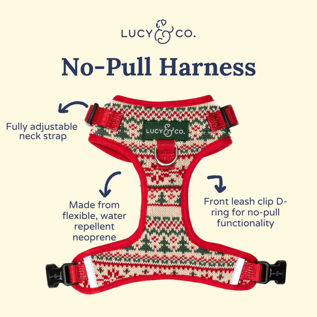 Let it Snow No-Pull Harness