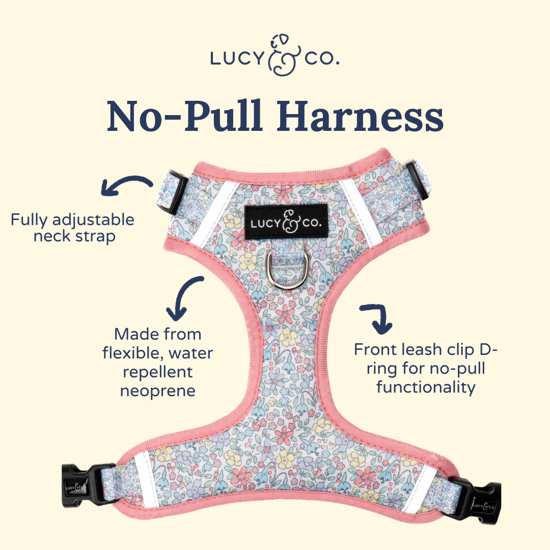 Ditsy Daydream No-Pull Harness