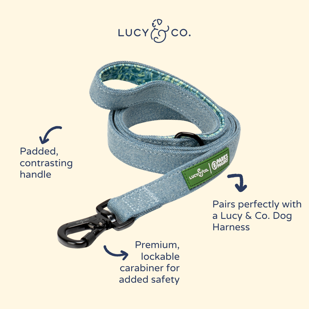 Lucy & Co. x Parks Project Adventures with Friends Leash
