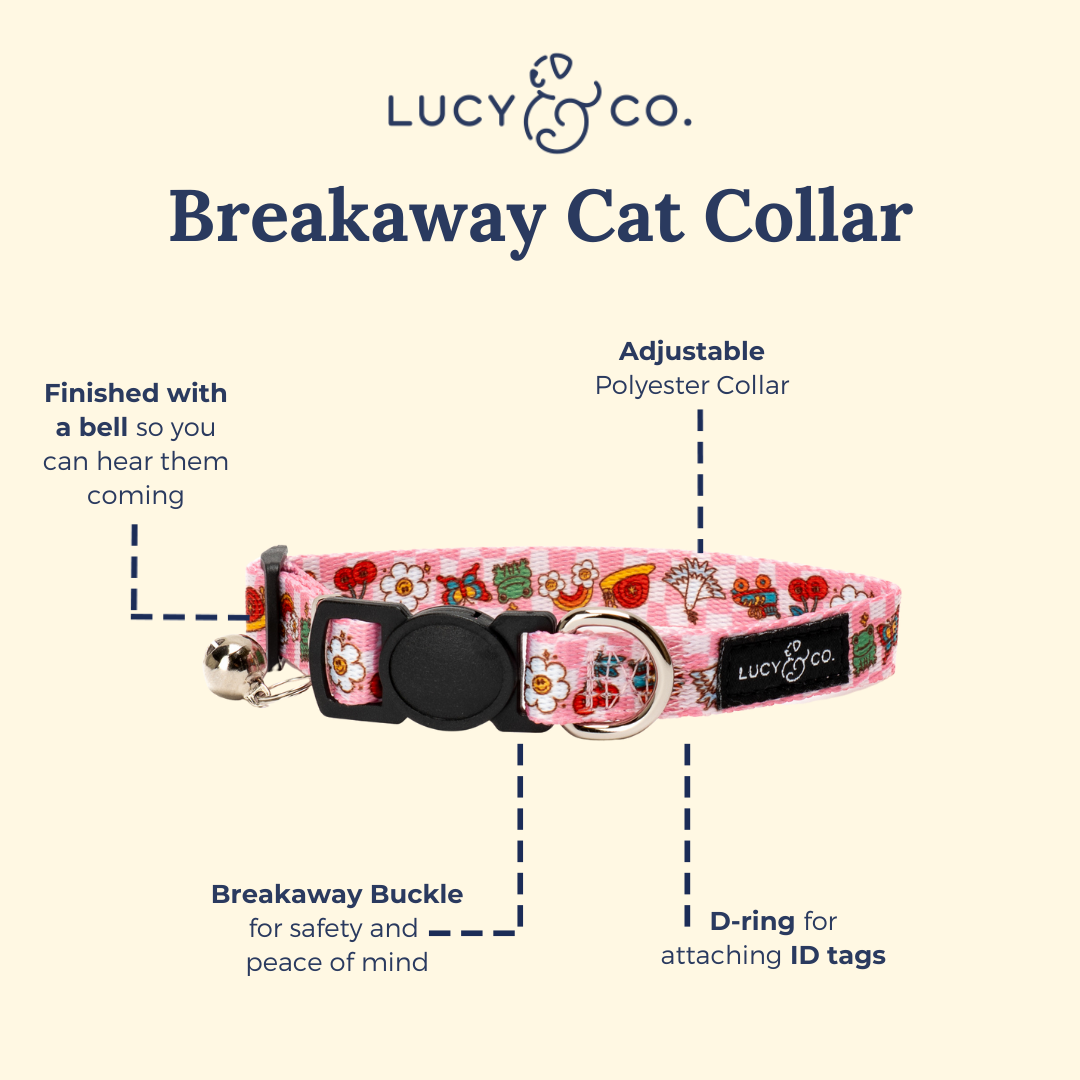 Cutie Patootie Breakaway Cat Collar