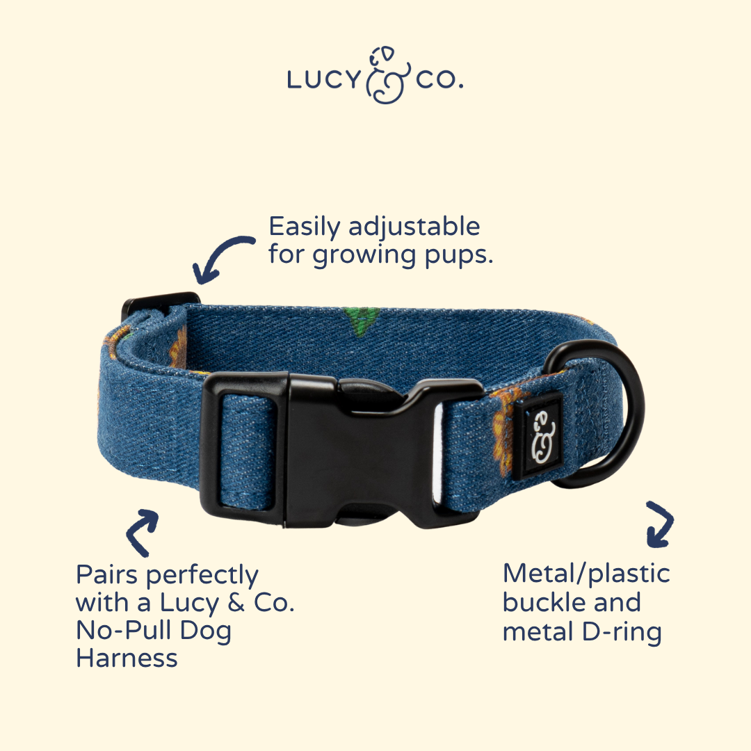 Sunflower Power Denim Collar