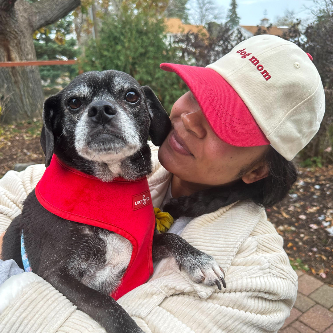 2-Tone Dog Mom Hat