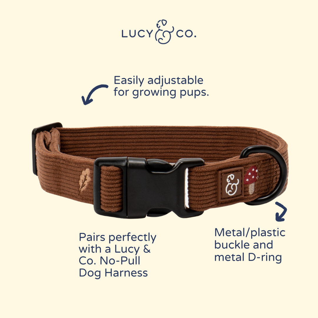 Woodland Wonder Corduroy Collar