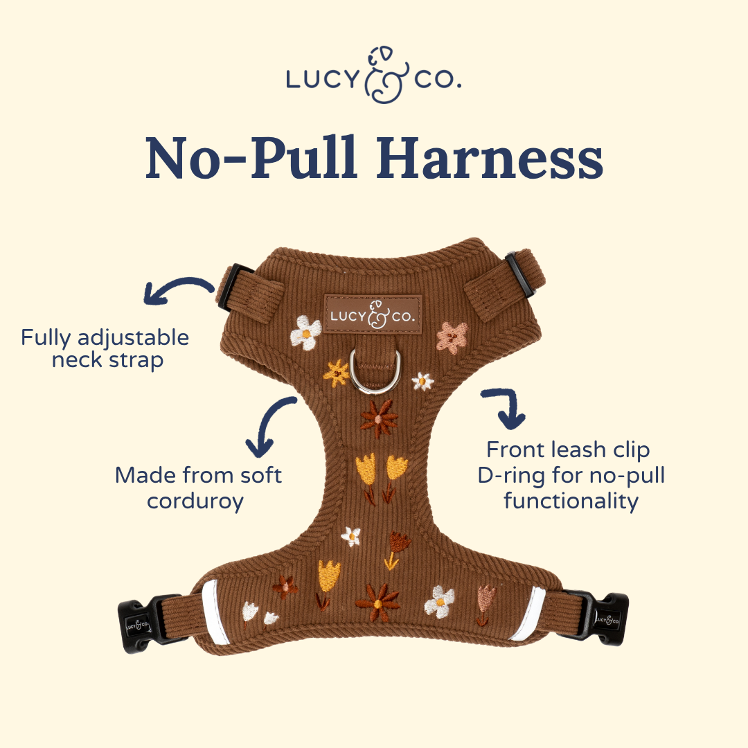 Chocolate Meadows Corduroy No-Pull Harness