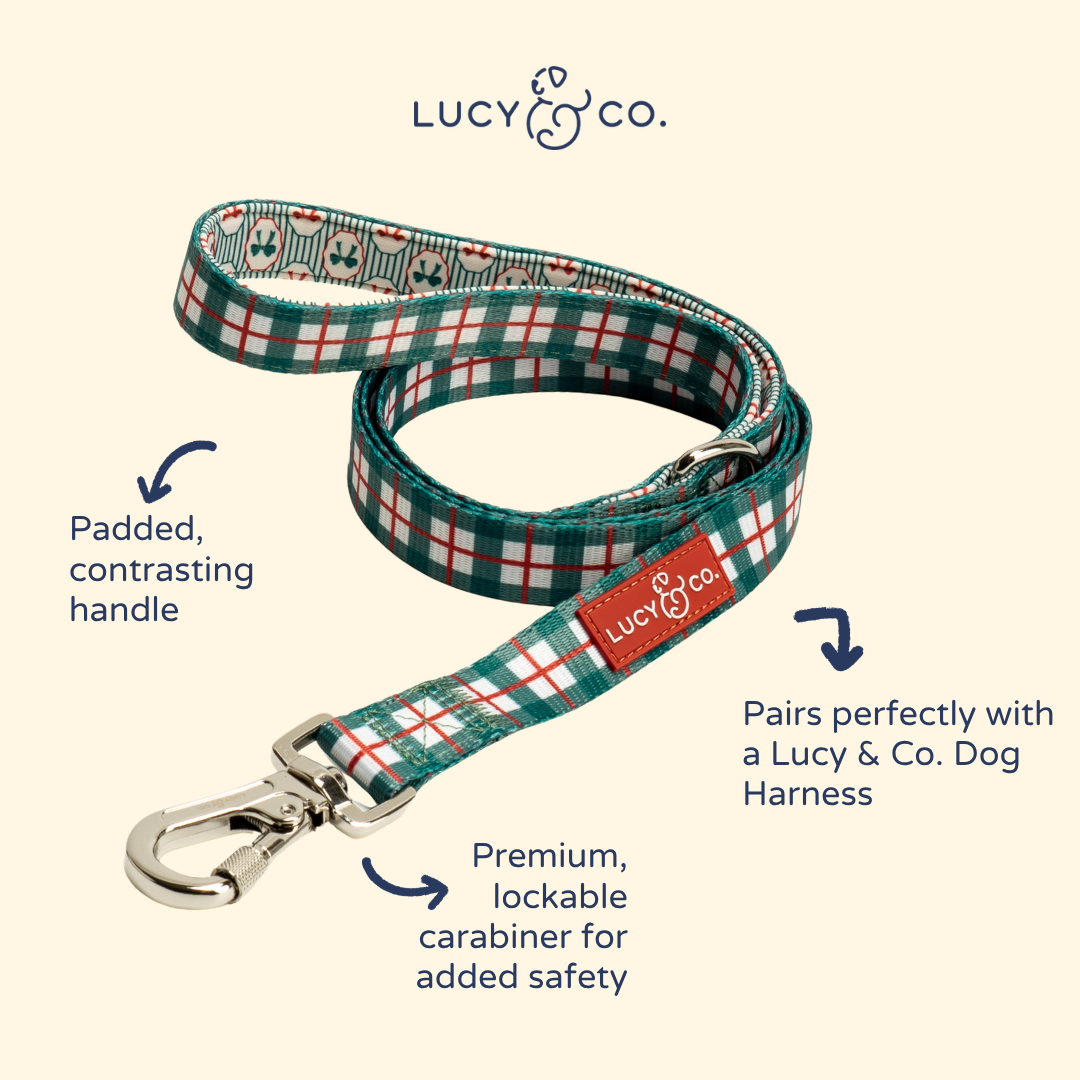 Wrap it Up Print Leash